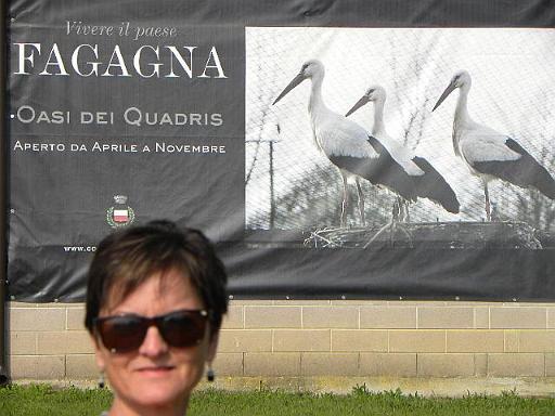 4 DSCN7952.JPG
